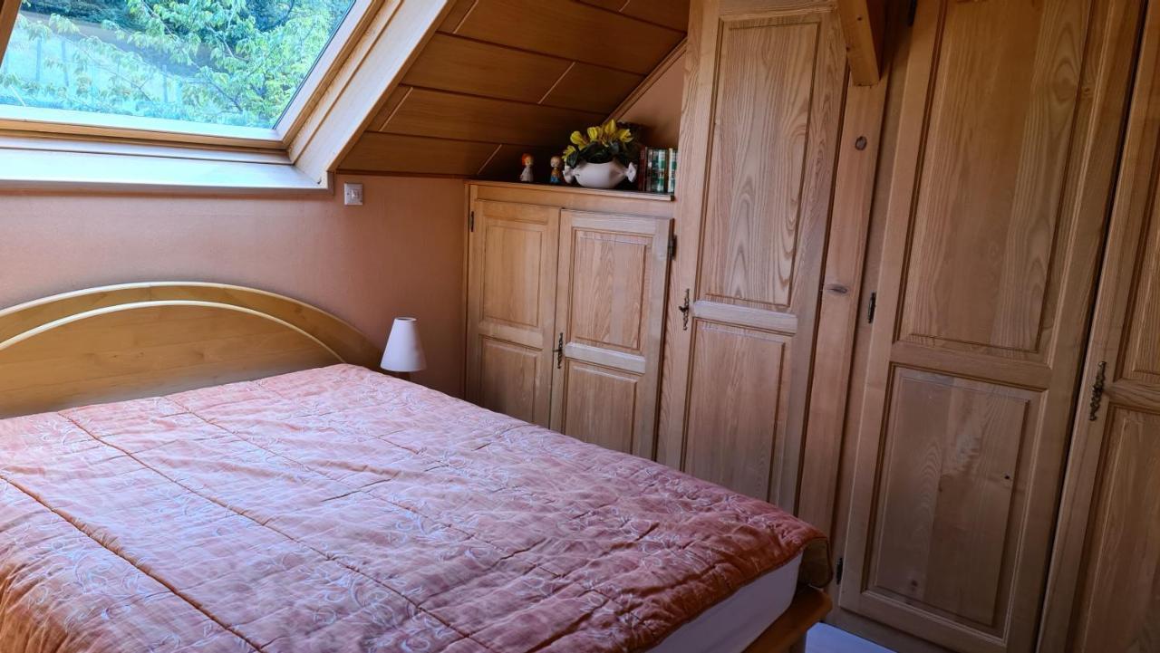 Au Pied Du Markstein Ferienhaus